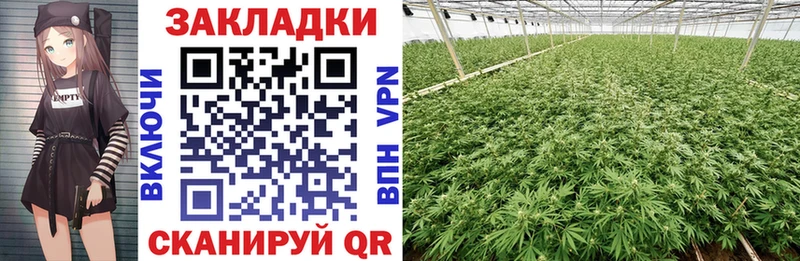 Наркошоп Пенза гидра рабочий сайт МЕФ ГАШИШ Марихуана A-PVP Псилоцибиновые грибы
