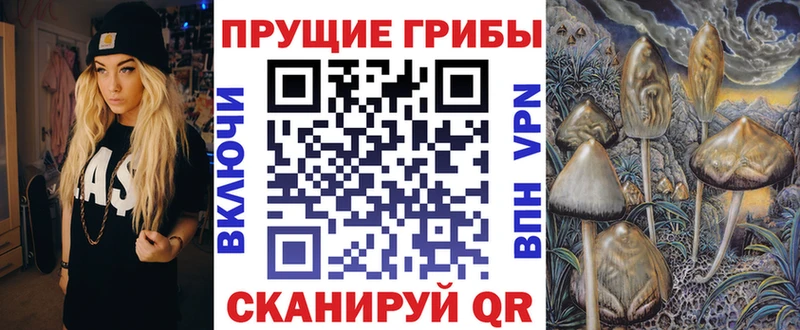 гидра как войти  Пенза  Галлюциногенные грибы Magic Shrooms 
